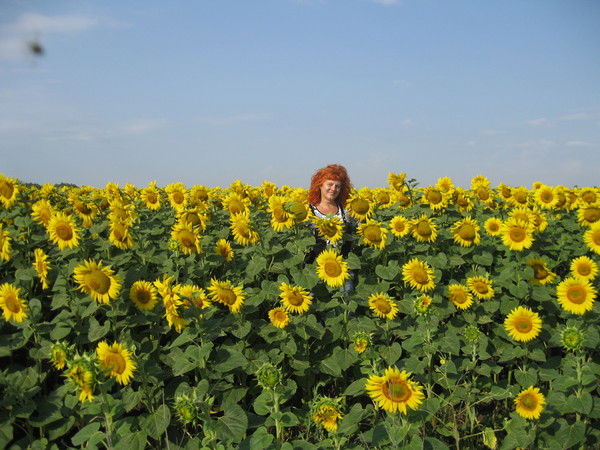 Татьяна Климович