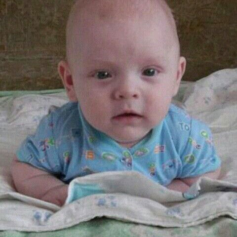 Ксения Ледак