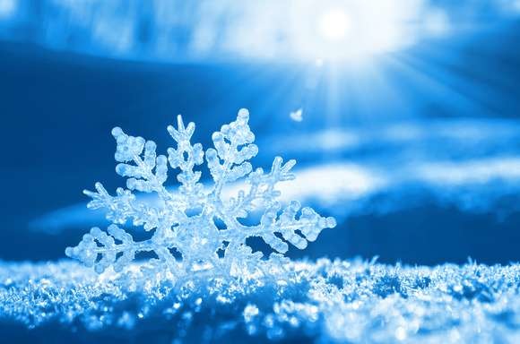 Ксения Барынина