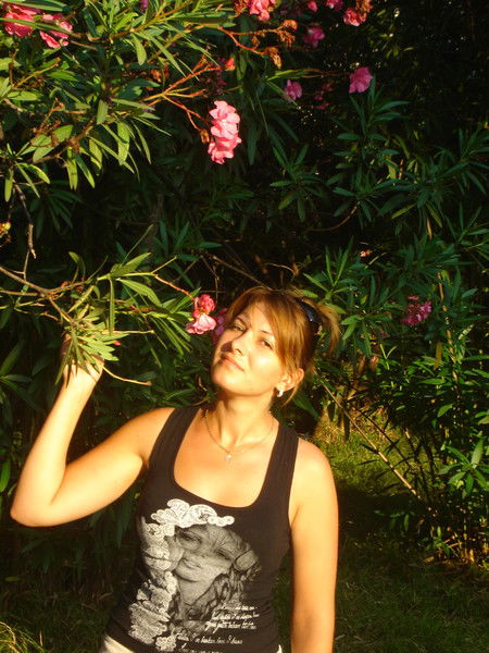 Елена Старикова