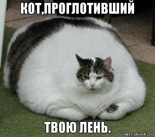 Чынгыз Насиров