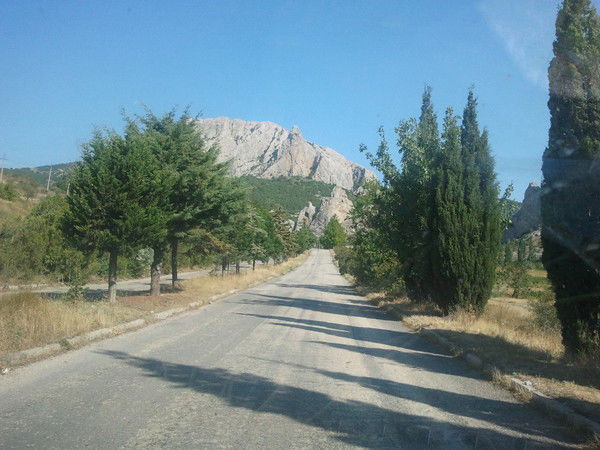 Таня Шацило