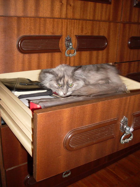 Марина Попова