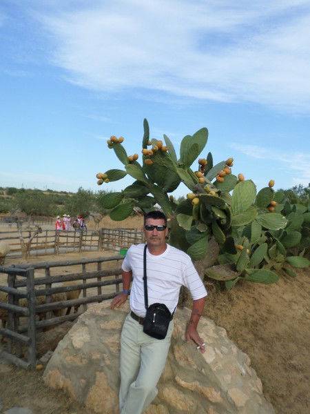 Юрий Полуянов