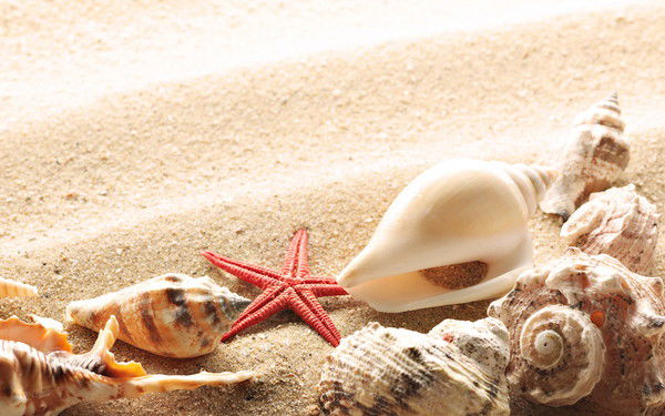 Ольга Капралова