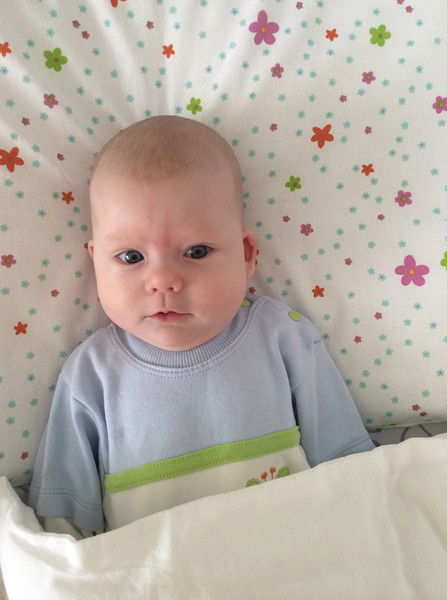 Андрей Апашкин