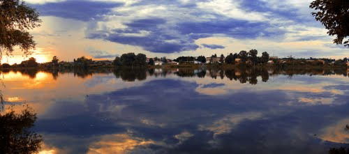 Владимир Прищепа