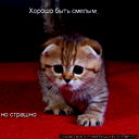 Котик Пушистик