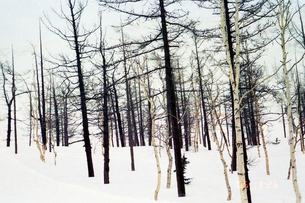 Антон Воедилов