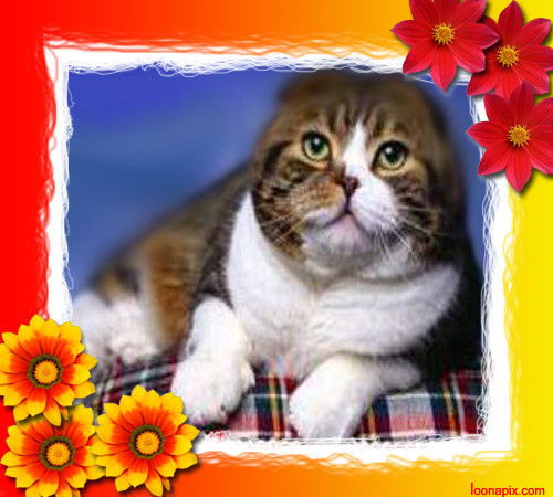 Верунчик Номер Раз