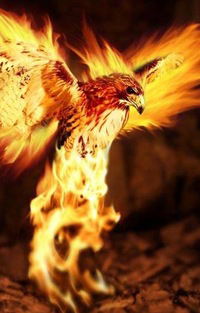 Аким Кабачек