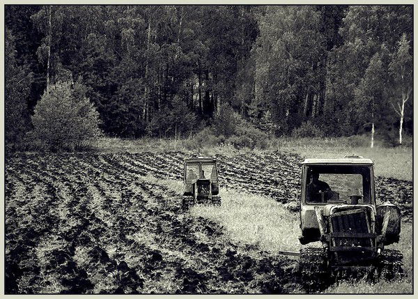 Фёдор Дорохин