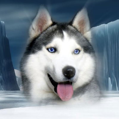 Рудольф Швайгер