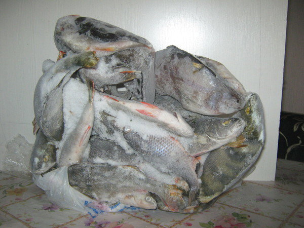 Алексей Рядков