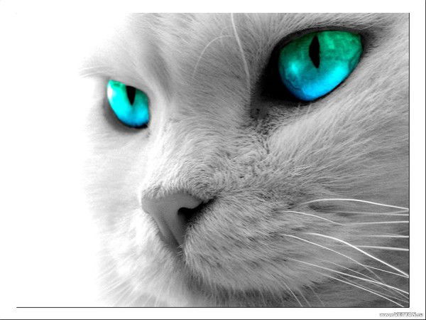 Людмила Кундель