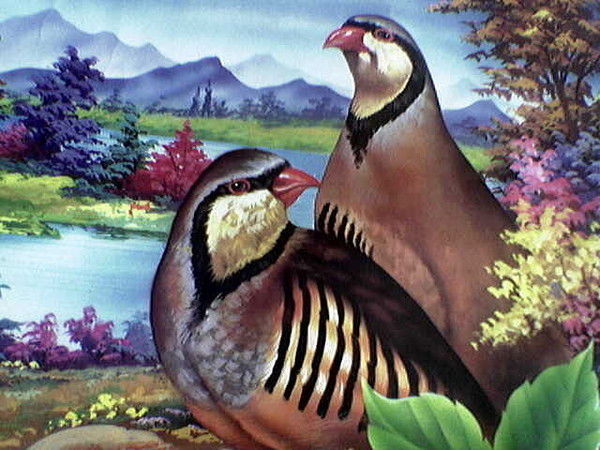 Сабрали Азизов