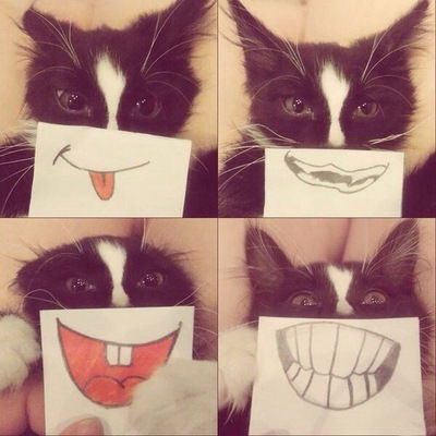 Виктория Анатольевна