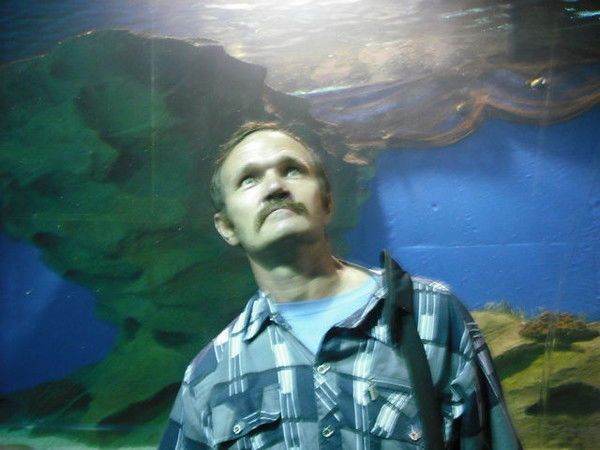 Андрей Ардашев