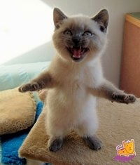 Николай Уколенко