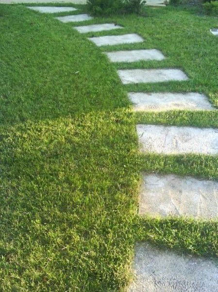 Петя Петров