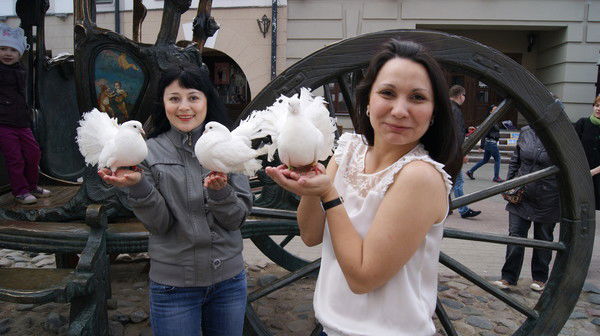 Альбина Альбина