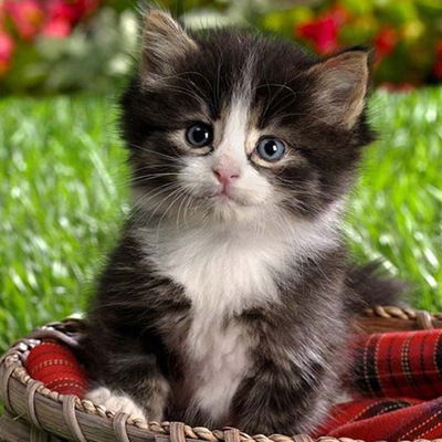 Зарина Махмутова