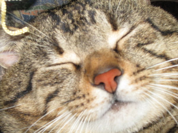 Валера Гусаков