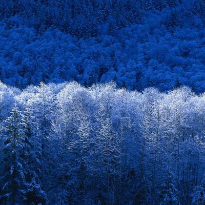 Глеб Малютин