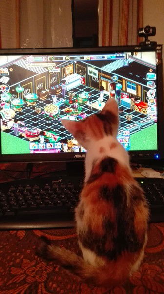 Торговый Квартал