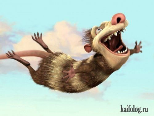 Александр Комаров