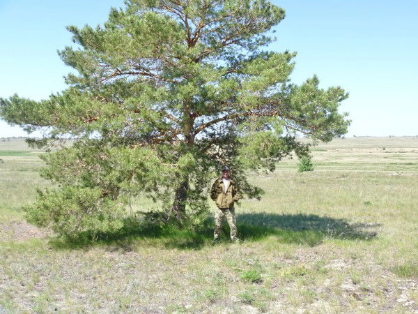 Юрий Киреев