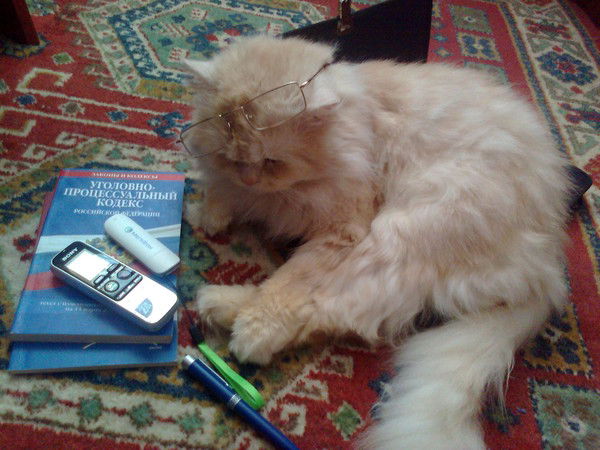 Марина Панфилова