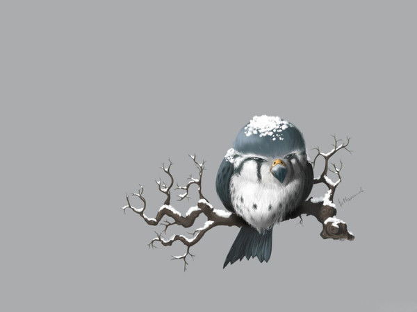 Александр Соловьёв