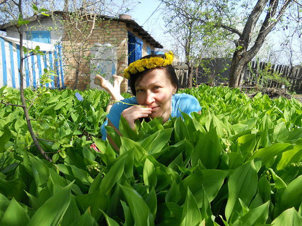 Елена Власова