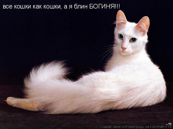 Вера Богиня