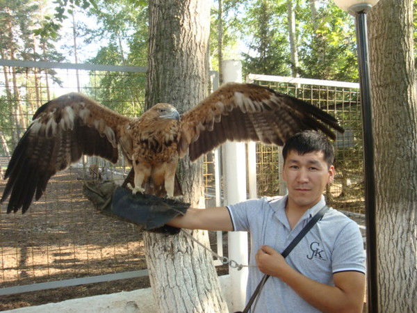 Елдос Бекибаев