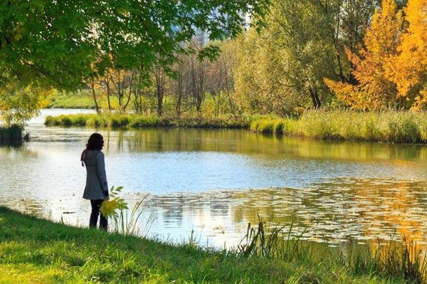 ***светлана ***