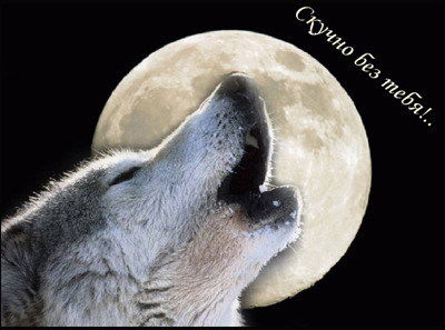 Максим Панкратов