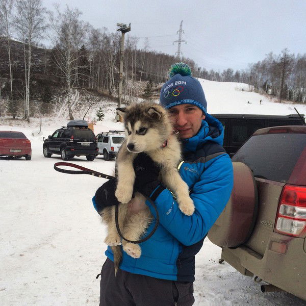 Александр Дмитриев