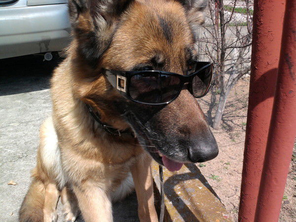 Вован Альфа