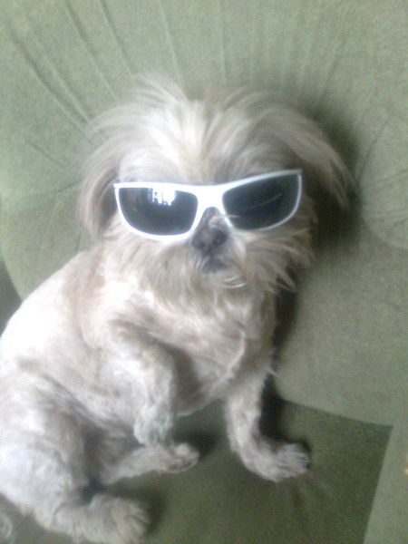 Елена Тимченко