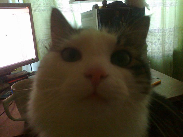 Павел Дварионович