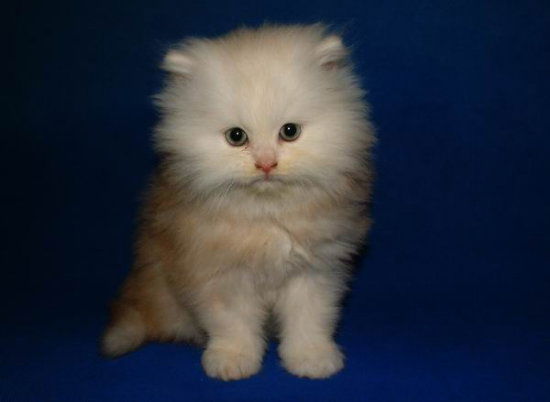 Зоя Догучаева