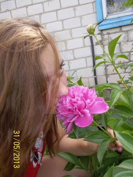 Светлана Мурашко