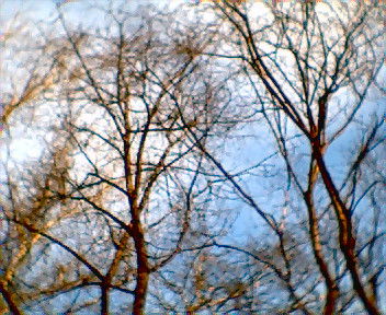 Наталья Новикова