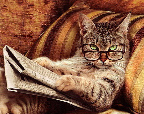 Андрей Калмыков