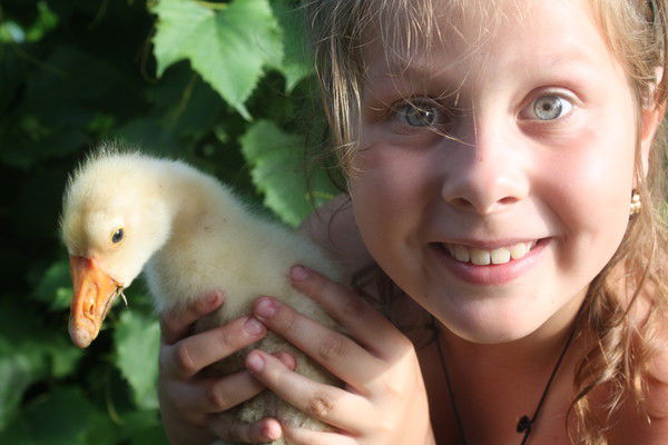 Настенька Хлопцева