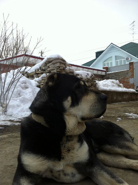 Виктория Волобуева