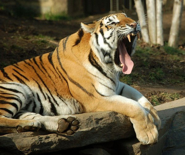 Настя Попова