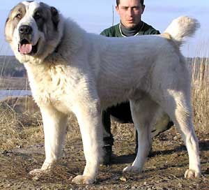 Светлана Мейрханова